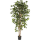 Ficus nitida Kunstpflanze, H 150