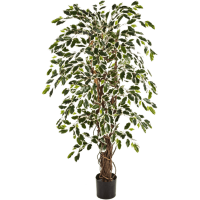 Ficus liana Var. Kunstpflanze, H 120