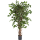 Ficus liana exotica Kunstpflanze, H 150