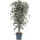 Ficus liana exotica Kunstpflanze, H 180