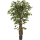 Ficus liana Kunstpflanze, H 210