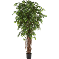 Ficus liana Kunstpflanze, H 180