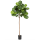 Ficus lyrata Kunstpflanze, H 200