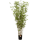Bamboo Oriental Kunstpflanze, H 220