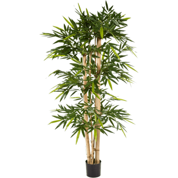 Bamboo New giant Kunstpflanze, H 240