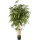 Bamboo New natural Kunstpflanze, H 210
