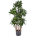 Dracaena fragrans compacta Kunstpflanze, H 120