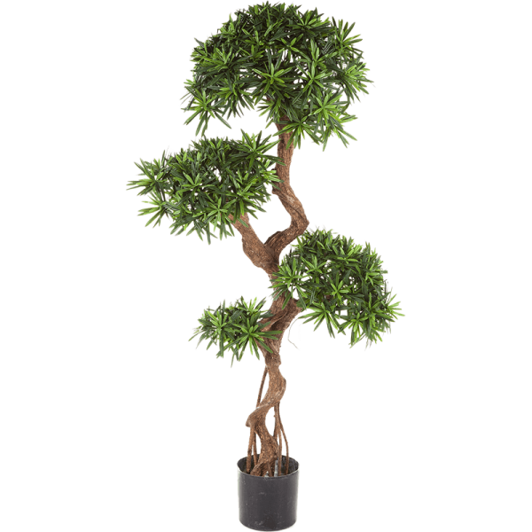Podocarpus Kunstpflanze, H 135