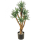 Agave Kunstpflanze, H 70