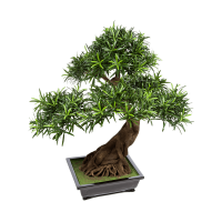 Podocarpus Kunstpflanze, H 80