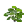 Alocasia calidora Kunstpflanze, H 95