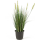 Grass Kunstpflanze, H 45