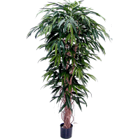 Longifolia Kunstpflanze, H 180