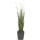 Grass Pampas Kunstpflanze, H 120