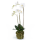 Phalaenopsis Kunstpflanze, H 70