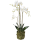 Phalaenopsis Kunstpflanze, H 80