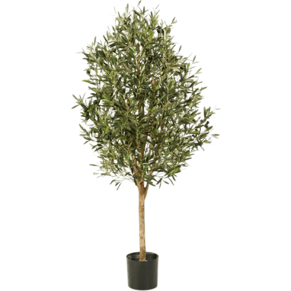 Olive Kunstpflanze, H 170