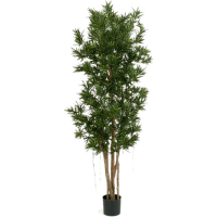Podocarpus Kunstpflanze, H 150