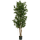 Podocarpus Kunstpflanze, H 150