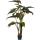 Alocasia Kunstpflanze, H 220