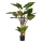 Alocasia Kunstpflanze, H 160