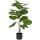 Ficus lyrata Kunstpflanze, H 100
