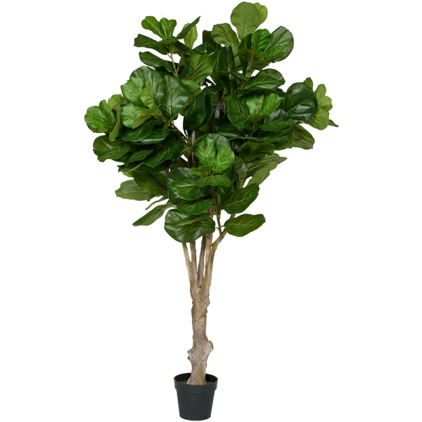 Ficus lyrata Kunstpflanze, H 180
