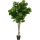 Ficus lyrata Kunstpflanze, H 180
