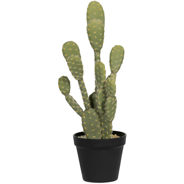 Cactus Opuntia Kunstpflanze, H 41