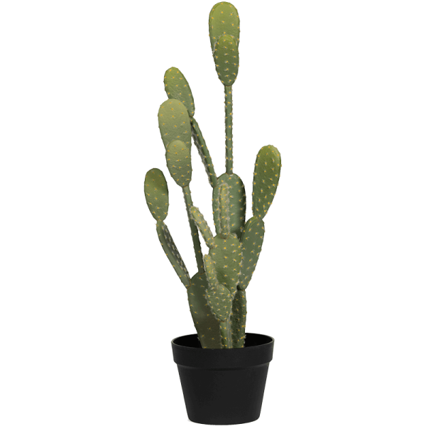 Cactus Opuntia Kunstpflanze, H 72