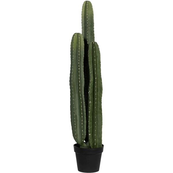 Cactus San Pedro Kunstpflanze, H 100