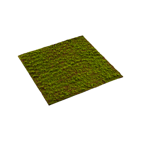 Moss Grimmia Kunstpflanze