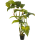 Colocasia Kunstpflanze, H 175