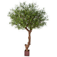 Olive Kunstpflanze, H 270