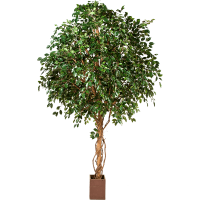 Ficus exotica Kunstpflanze, H 315