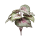 Begonia Kunstpflanze, H 25