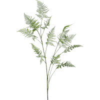 Asparagus Kunstpflanze, H 135