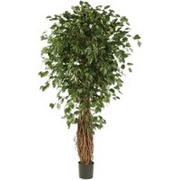 Ficus liana exotica Kunstpflanze, H 240