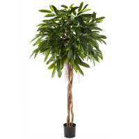 Ficus longifolia Kunstpflanze, H 180