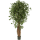 Ficus liana exotica Kunstpflanze, H 270