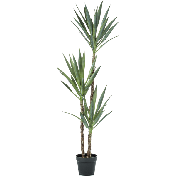 Yucca Kunstpflanze, H 150