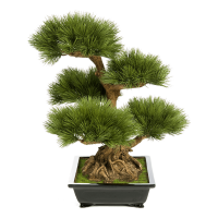 Pinus Kunstpflanze, H 60