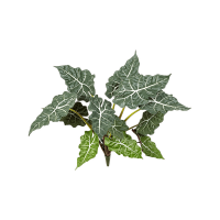 Alocasia Kunstpflanze, H 60