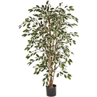 Ficus nitida Var. Kunstpflanze, H 180