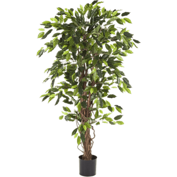 Ficus liana Kunstpflanze, H 120