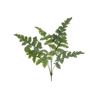 Phlebodium Kunstpflanze, H 65