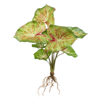 Anthurium Kunstpflanze, H 40