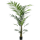 Kentia Kunstpflanze, H 210