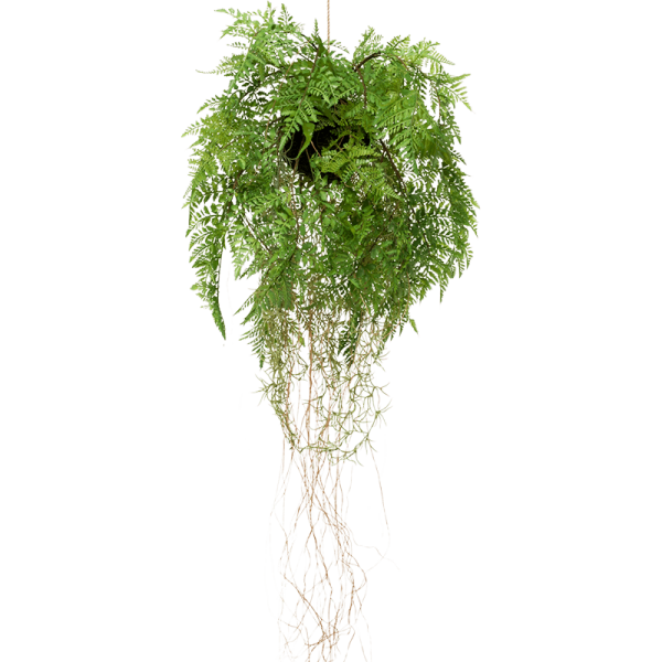 Fern with roots Kunstpflanze, H 35