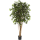 Ficus retusa Kunstpflanze, H 210